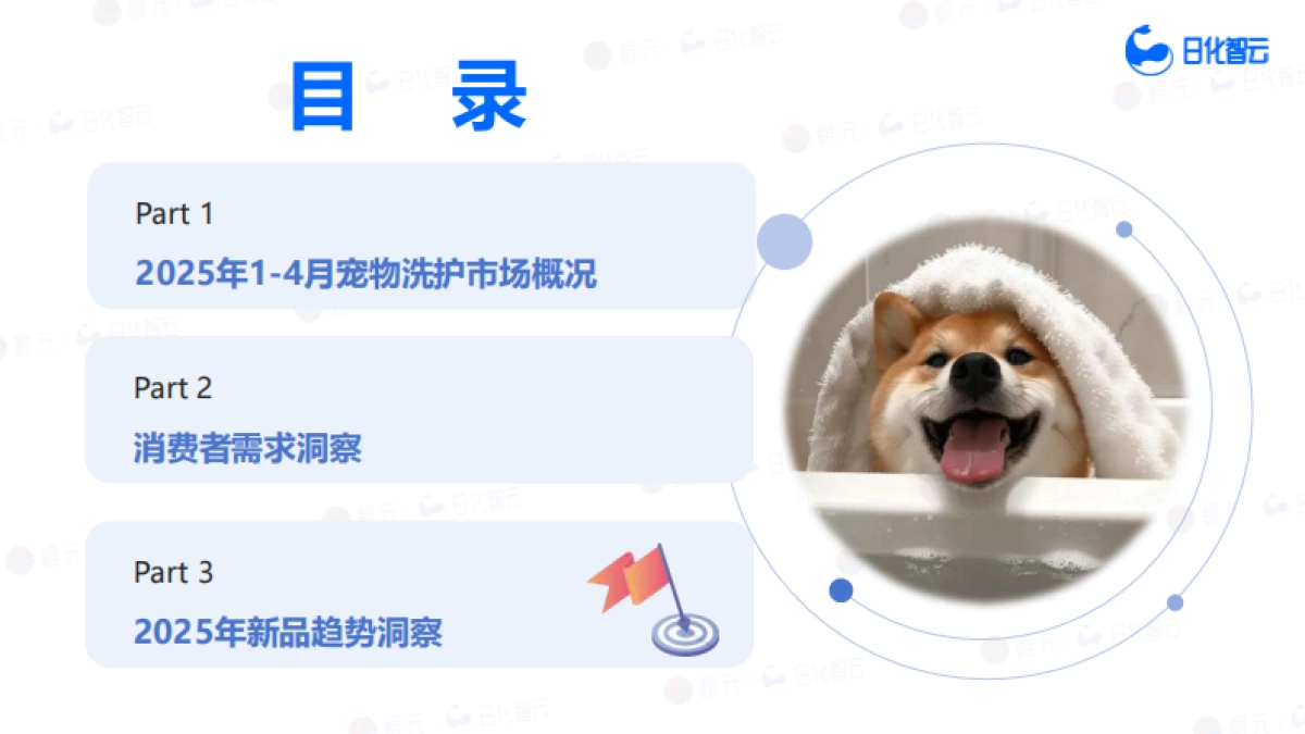 2025年1-4月宠物洗护用品市场趋势洞察报告_第5页