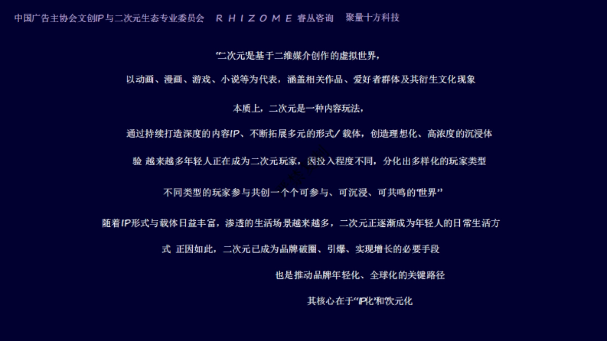 2025年二次元生态白皮书_第4页