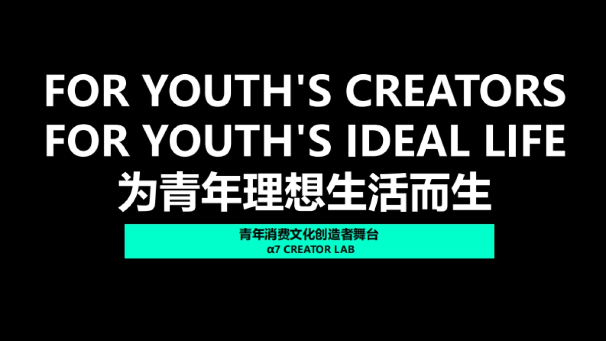 成都万华麓湖city walk商业品牌手册_第2页