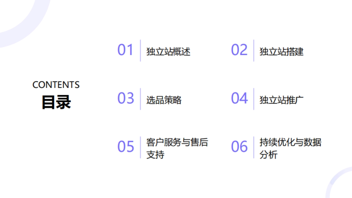 2025年跨境快消独立站运营指南_第2页