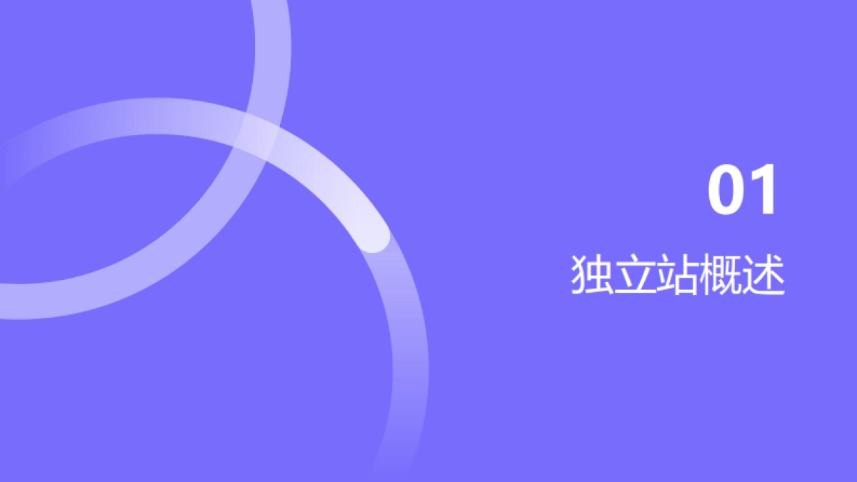 2025年跨境快消独立站运营指南_第3页