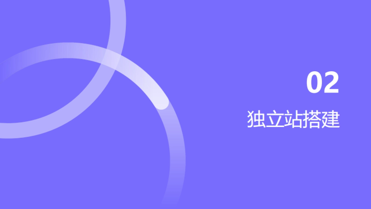 2025年跨境快消独立站运营指南_第7页