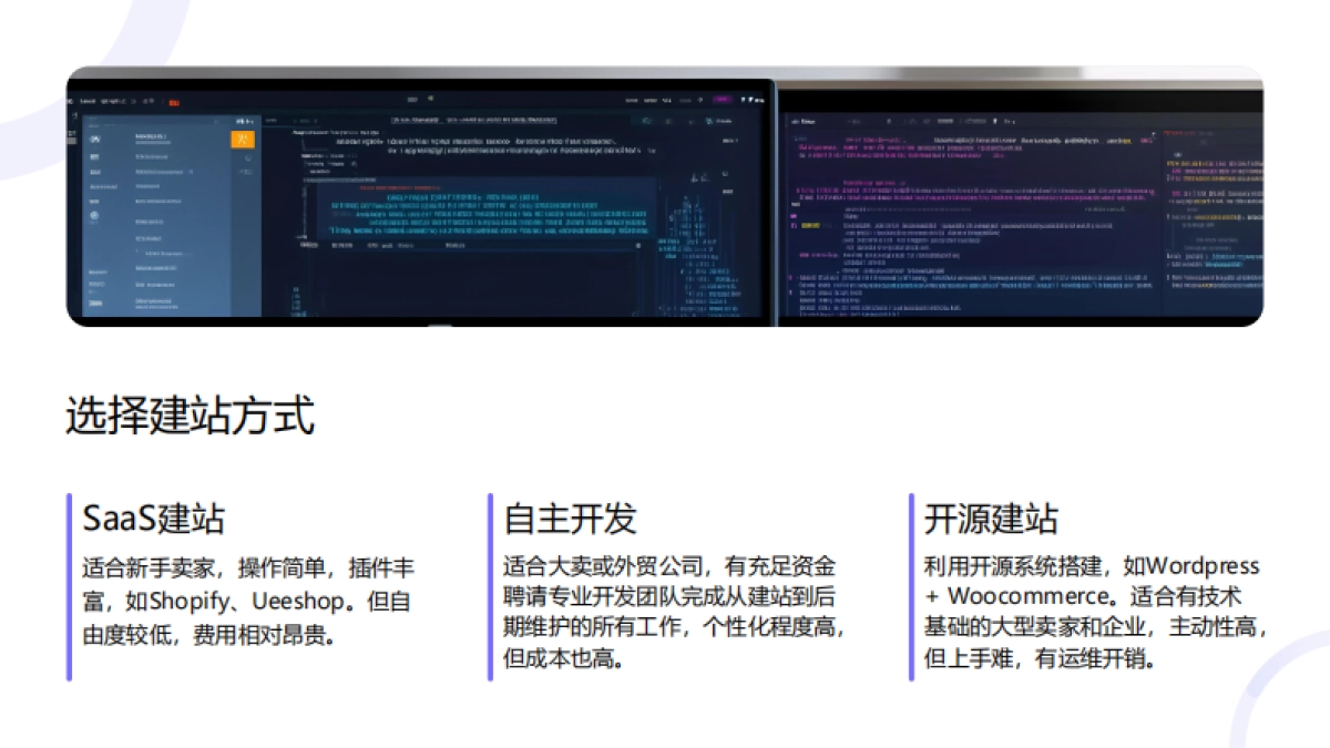 2025年跨境快消独立站运营指南_第9页