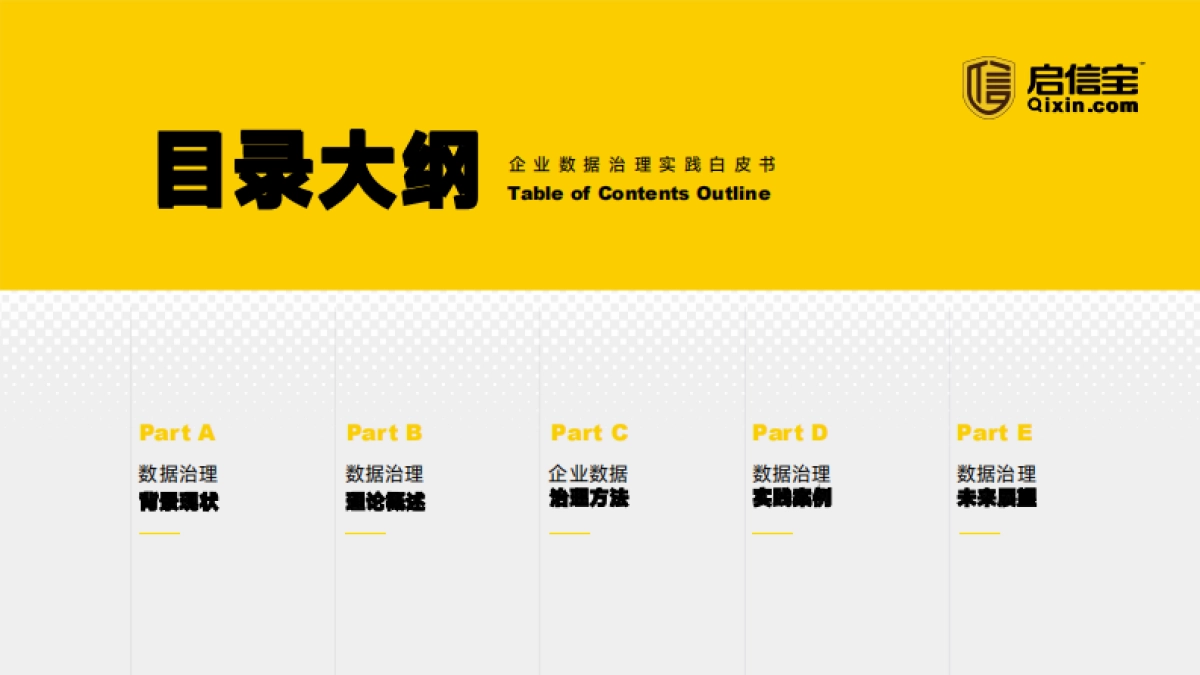 2025年企业数据治理实践白皮书_第4页