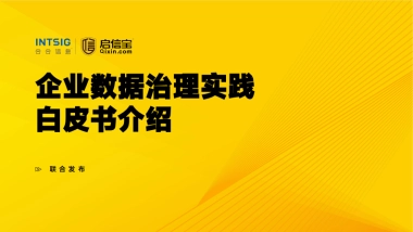 2025年企业数据治理实践白皮书
