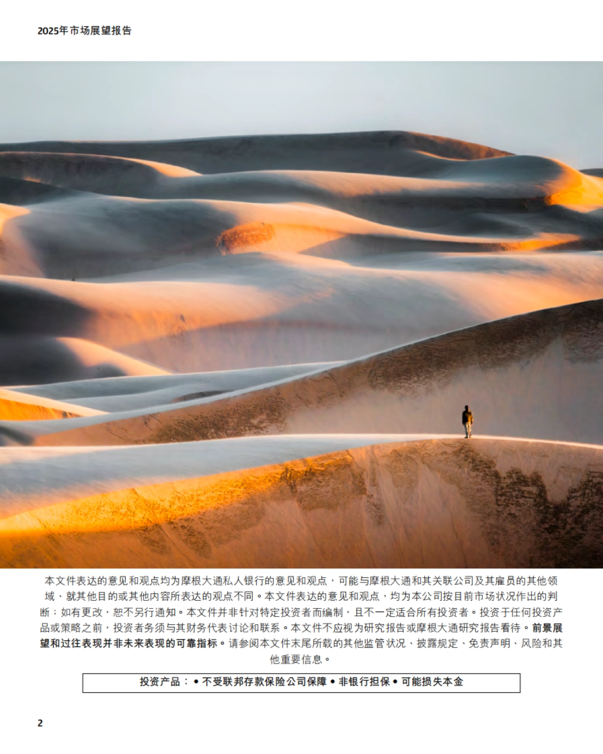 2025年市场展望报告:善用优势厚积增益_第2页