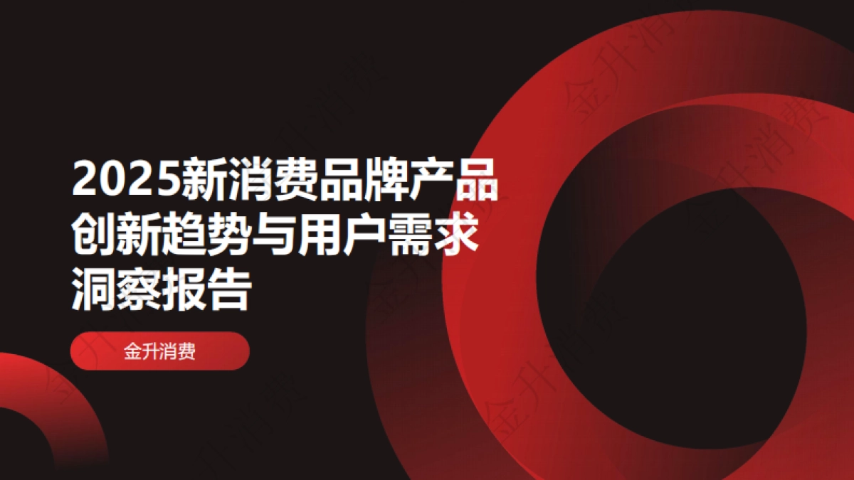 2025年新消费品牌产品创新趋势与用户需求洞察报告_第1页