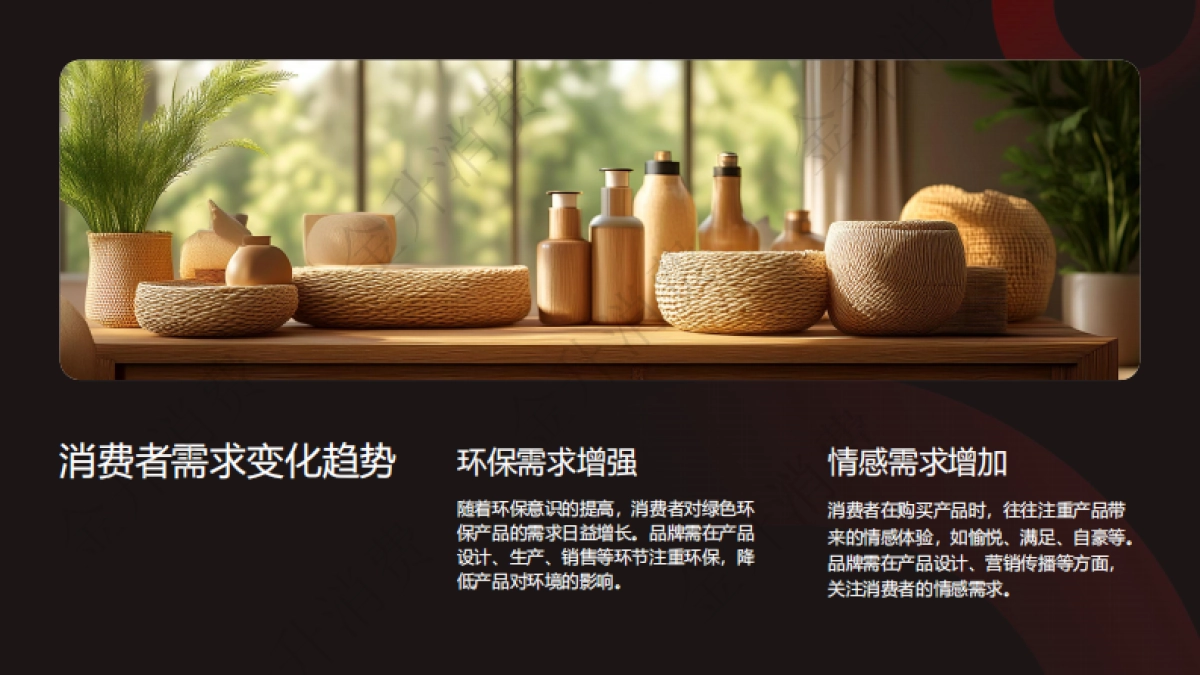 2025年新消费品牌产品创新趋势与用户需求洞察报告_第10页