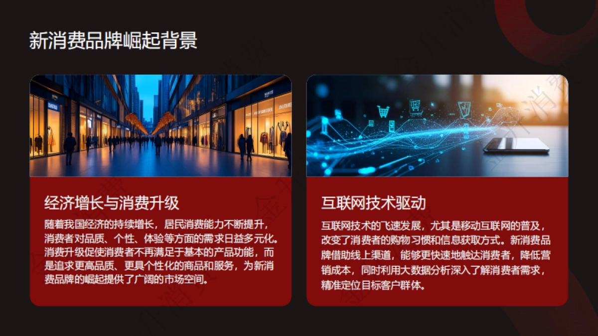 2025年新消费品牌产品创新趋势与用户需求洞察报告_第2页