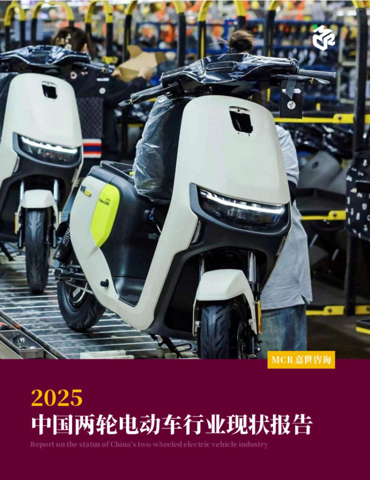 2025年中国两轮电动车行业现状报告_第1页