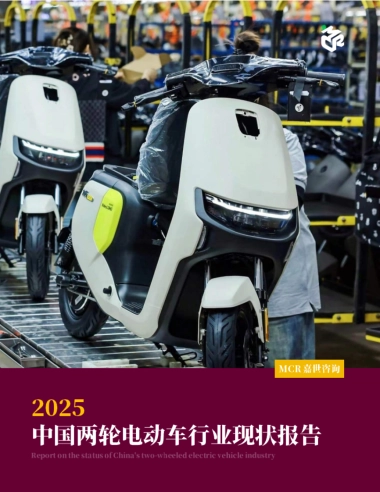 2025年中国两轮电动车行业现状报告