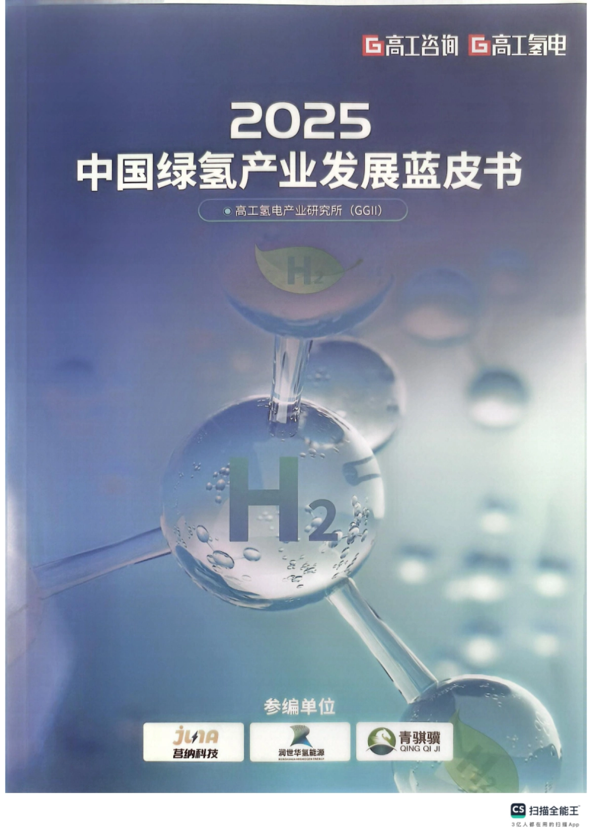 2025年中国绿氢产业发展蓝皮书_第1页