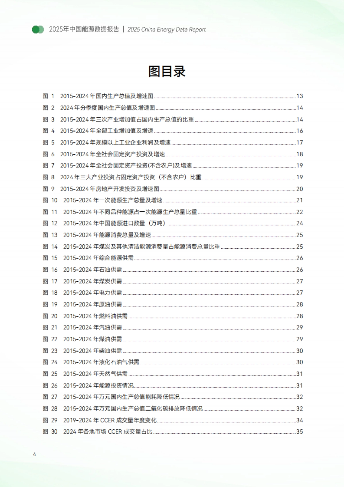 中国能源数据报告(2025)-国能能源研究院_第6页