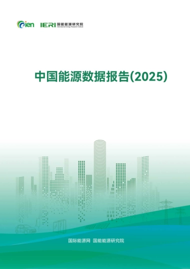 中国能源数据报告（2025）-国能能源研究院