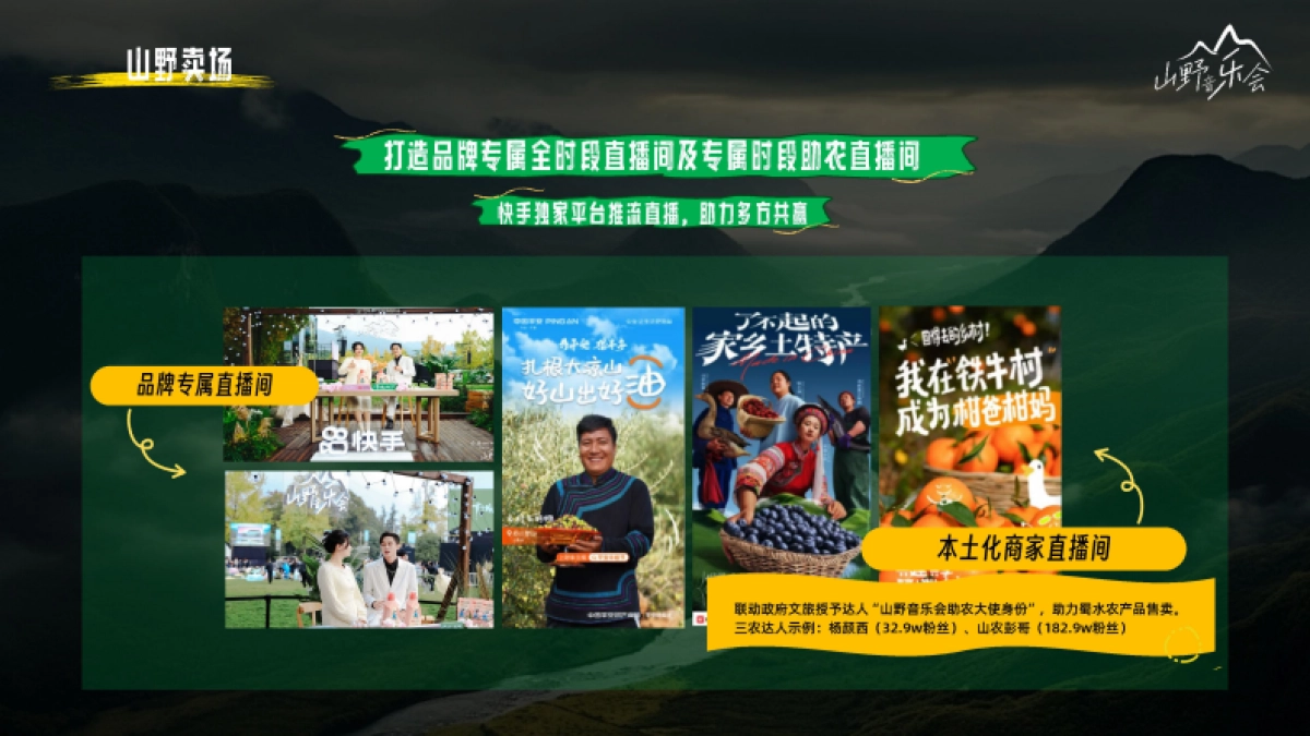 快手《山野音乐会》招商方案_第10页