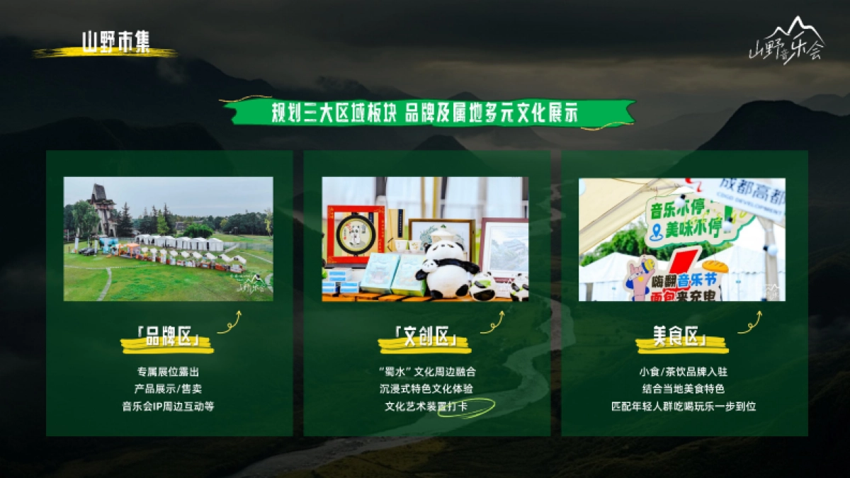 快手《山野音乐会》招商方案_第9页