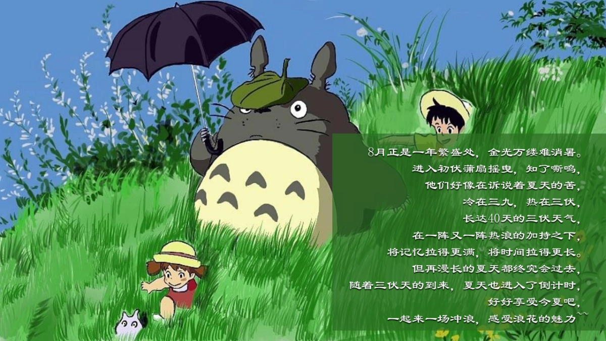 2024夏日冲浪节暨落日露营市集(城市浪人计划主题)活动策划方案_第5页