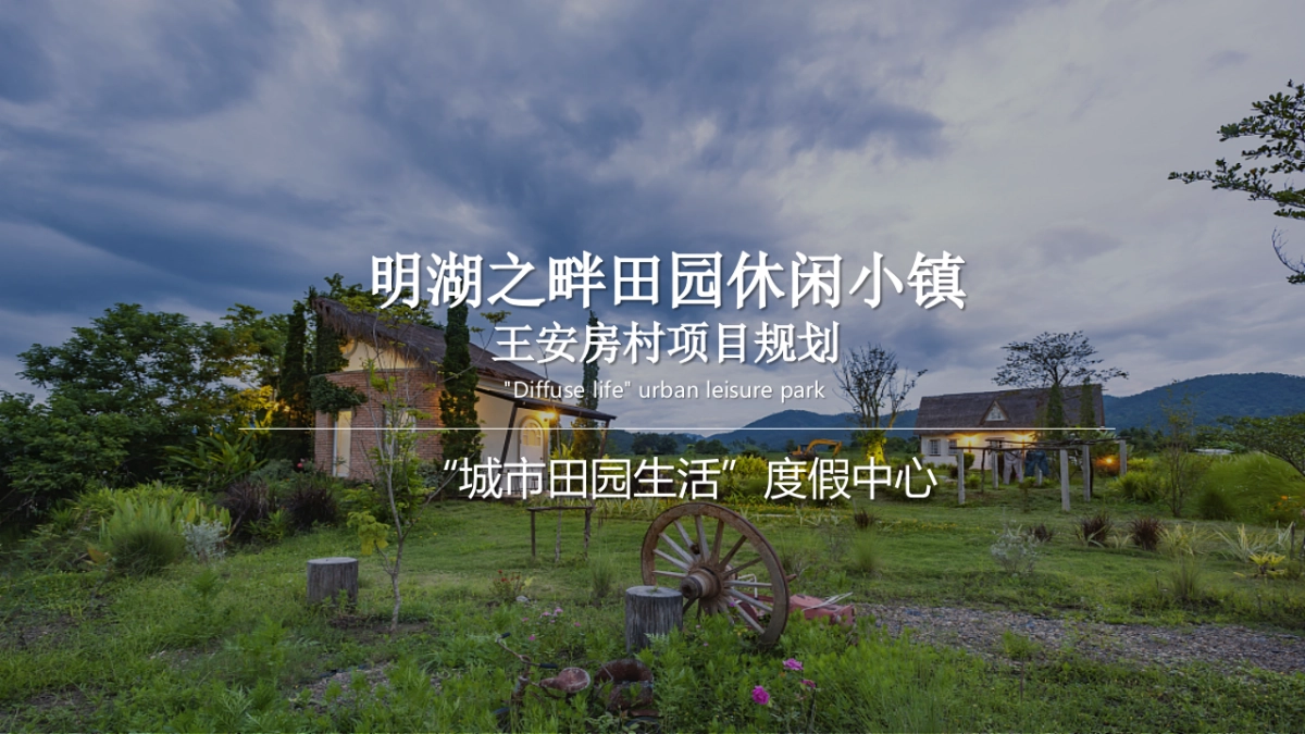 明湖之畔田园休闲小镇整体规划策划方案_第1页