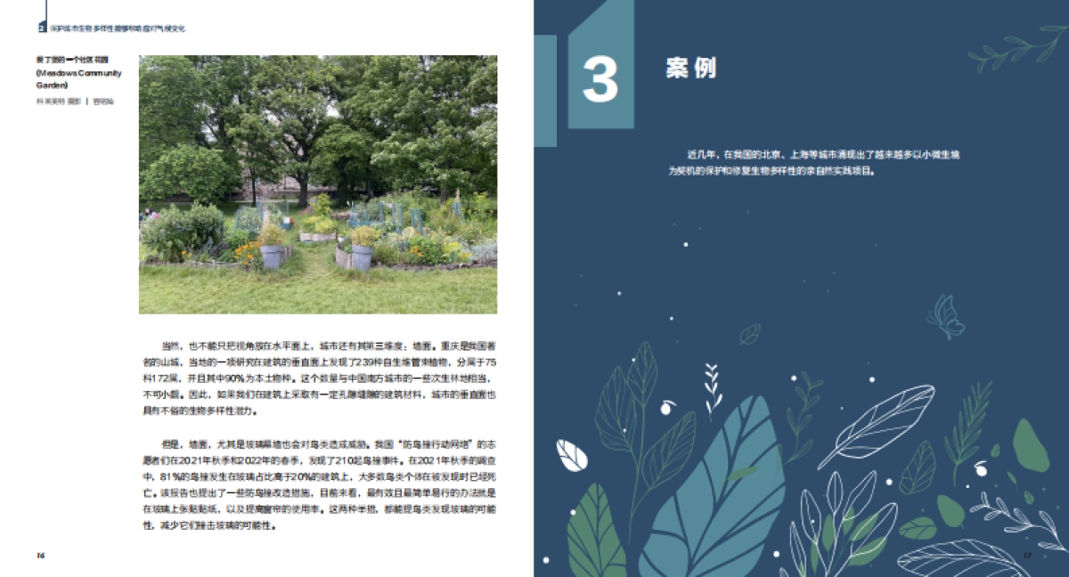 2023年气候变化下的生物多样性：城市小微生境的作用不可忽视报告_第10页