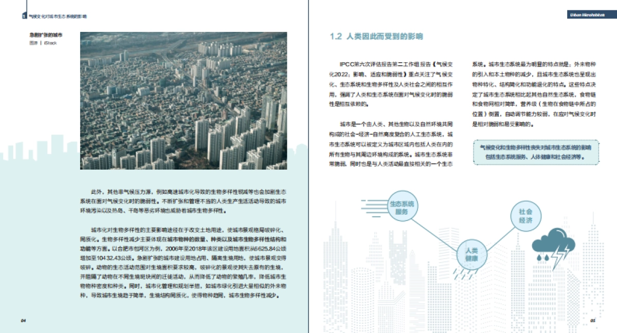 2023年气候变化下的生物多样性：城市小微生境的作用不可忽视报告_第4页