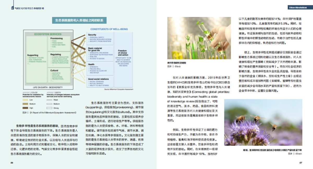 2023年气候变化下的生物多样性：城市小微生境的作用不可忽视报告_第5页