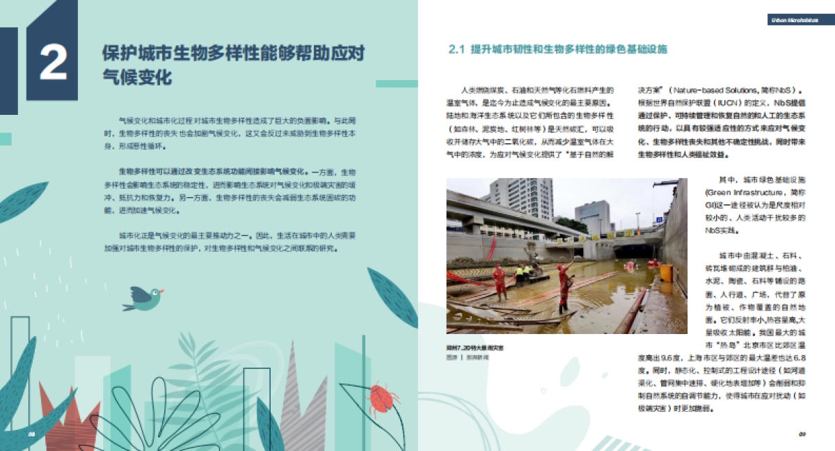 2023年气候变化下的生物多样性：城市小微生境的作用不可忽视报告_第6页