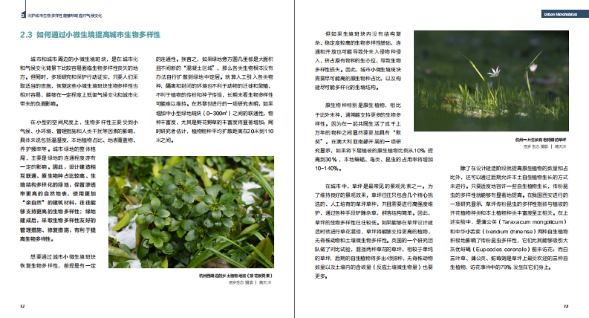 2023年气候变化下的生物多样性：城市小微生境的作用不可忽视报告_第8页