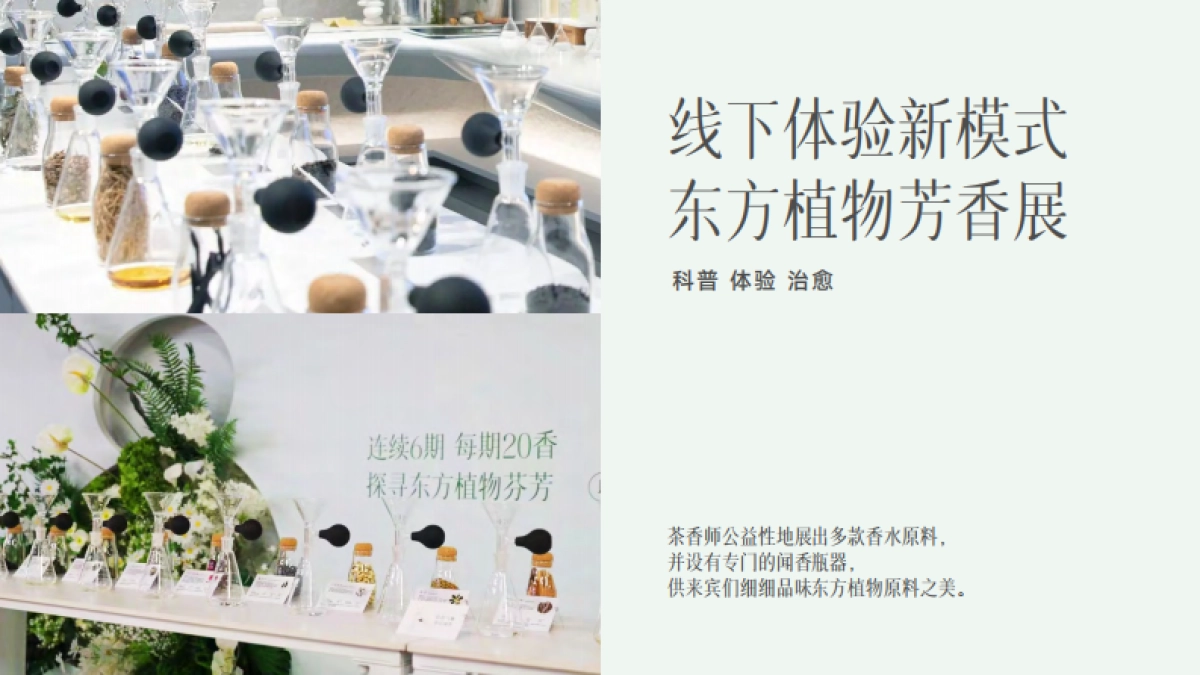 茶香师品牌介绍_第7页