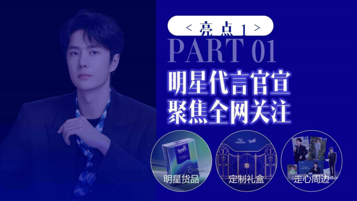 德宝品牌代言人品牌焕新升级_第9页