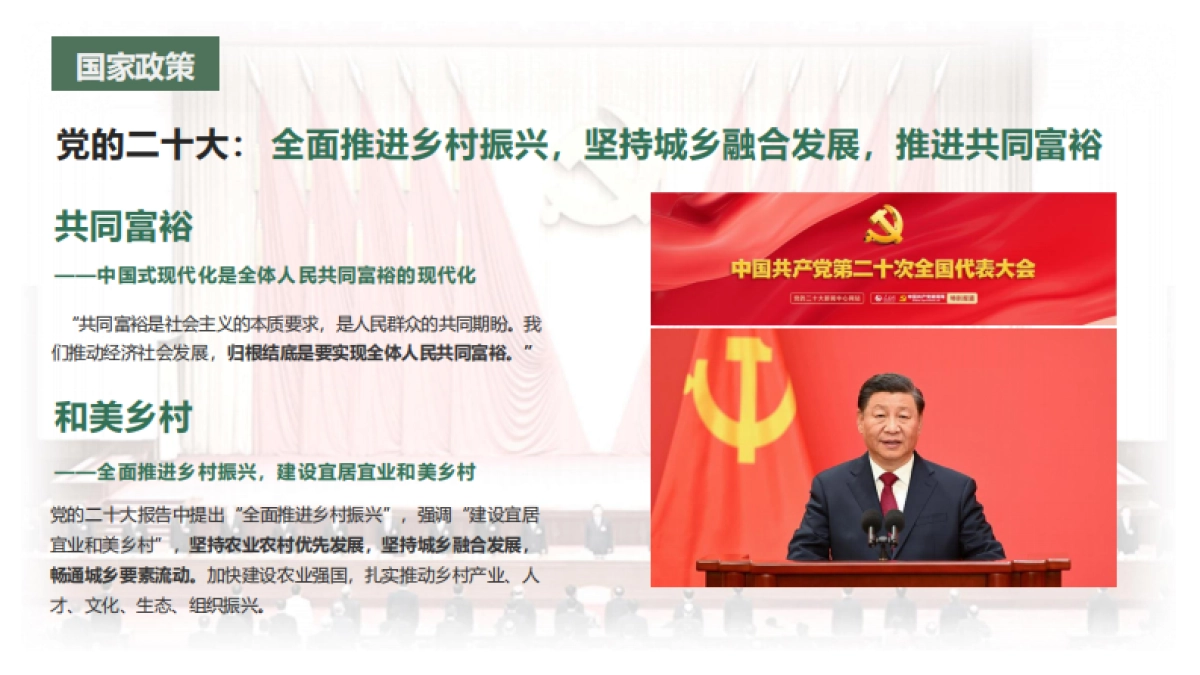 宜宾·龙头山龙文化爱情康养山地农文旅项目全域概念策划方案_第4页