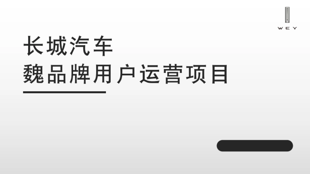长城汽车魏品牌用户运营项目方案_第1页