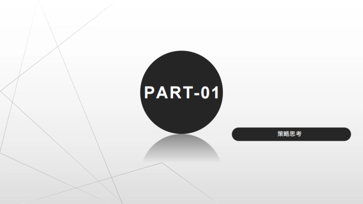 长城汽车魏品牌用户运营项目方案_第3页