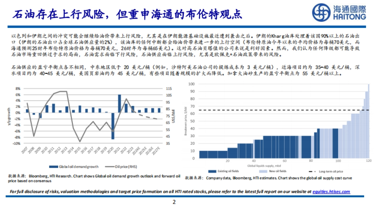 2025年全球新能源展望：哪些可行，哪些不可行_第2页