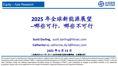 2025年全球新能源展望：哪些可行，哪些不可行