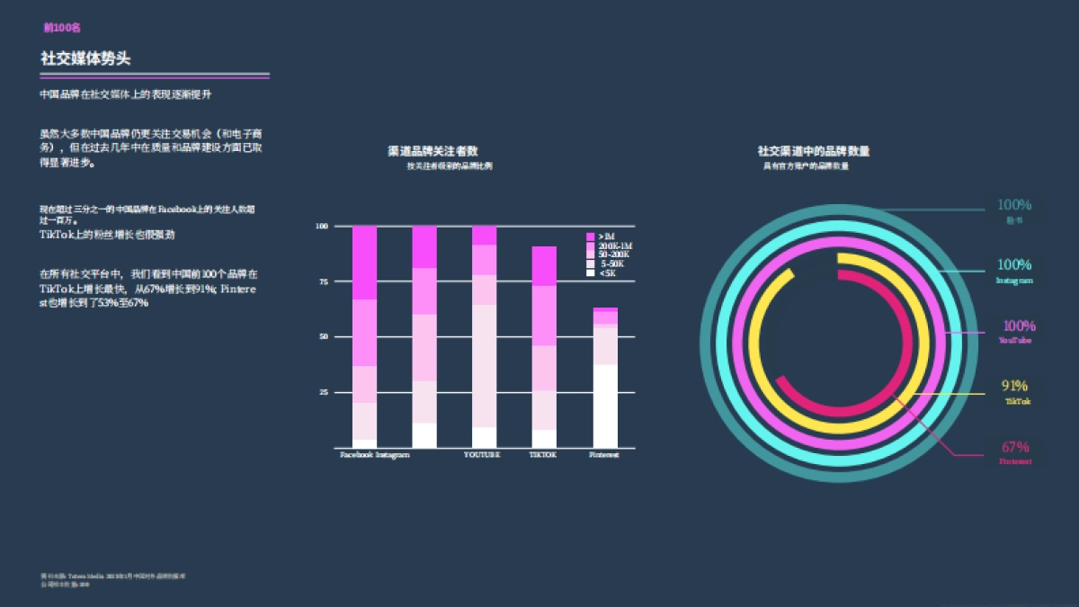 2025年中国品牌走向全球_第10页