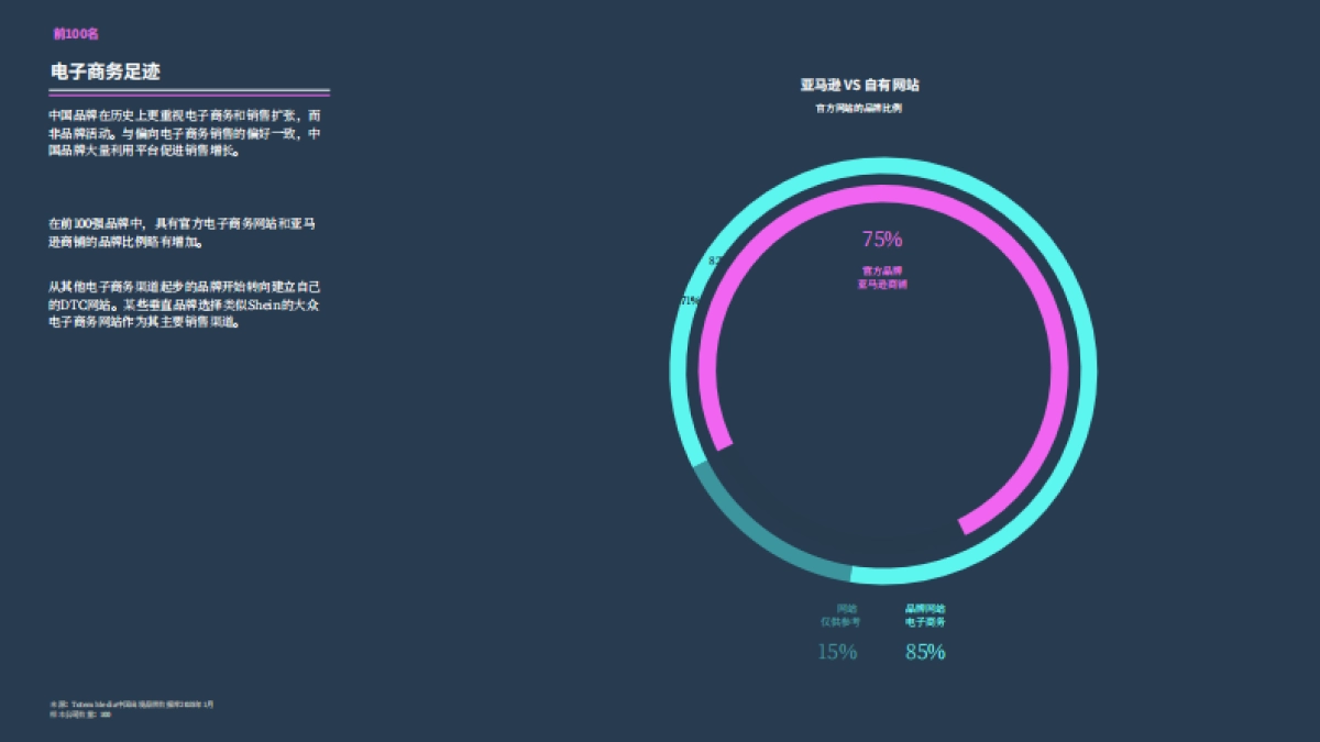 2025年中国品牌走向全球_第9页