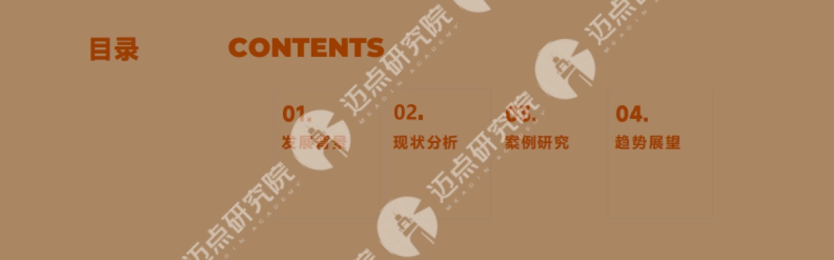 2025年中国中高端酒店品牌发展报告_第2页