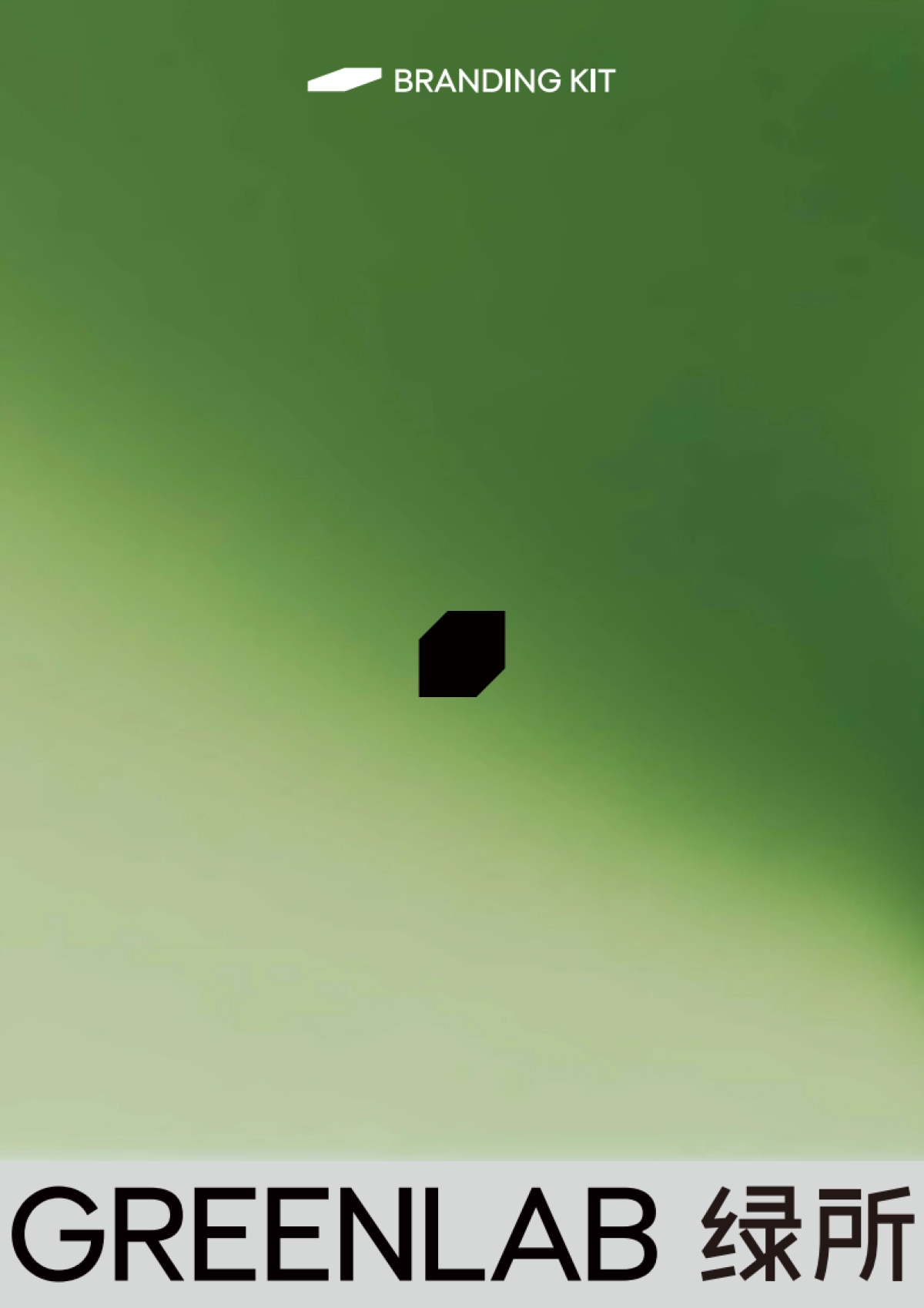 绿所品牌手册_第1页