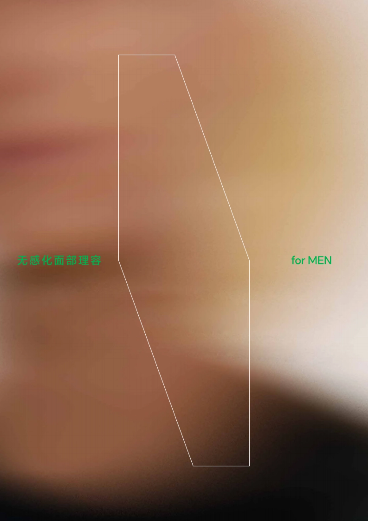 绿所品牌手册_第2页