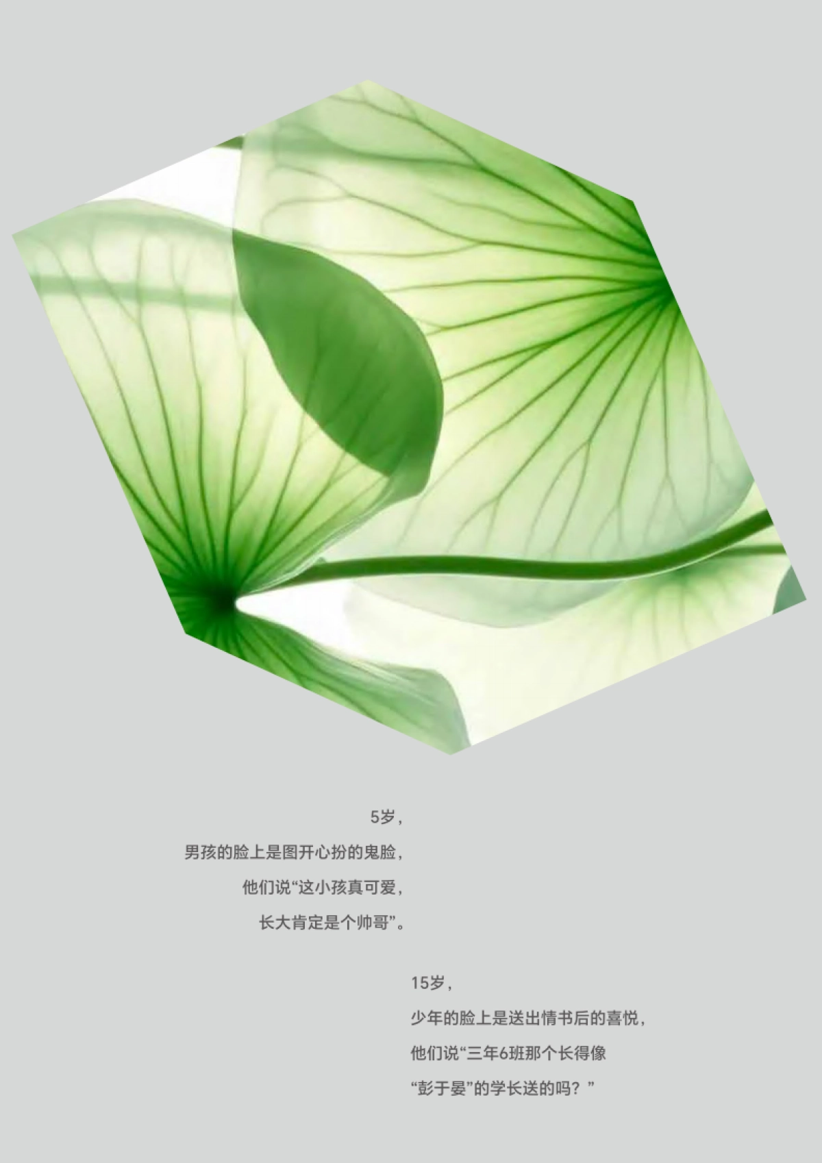 绿所品牌手册_第3页