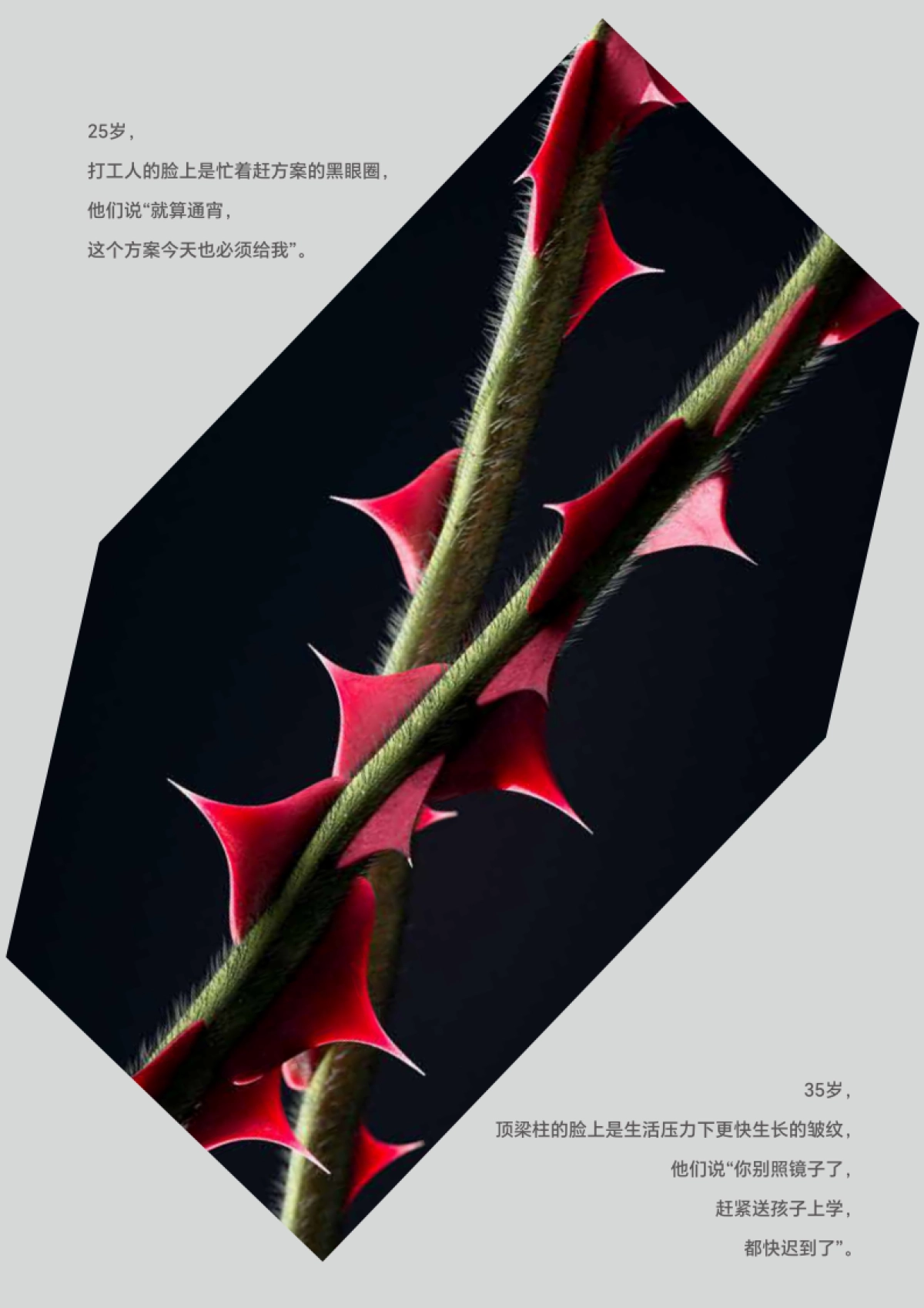 绿所品牌手册_第4页