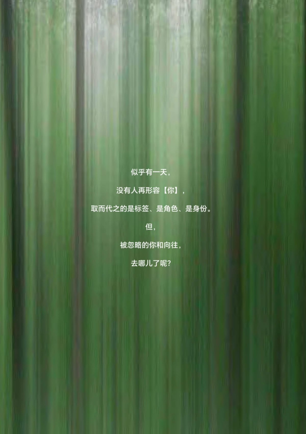 绿所品牌手册_第5页