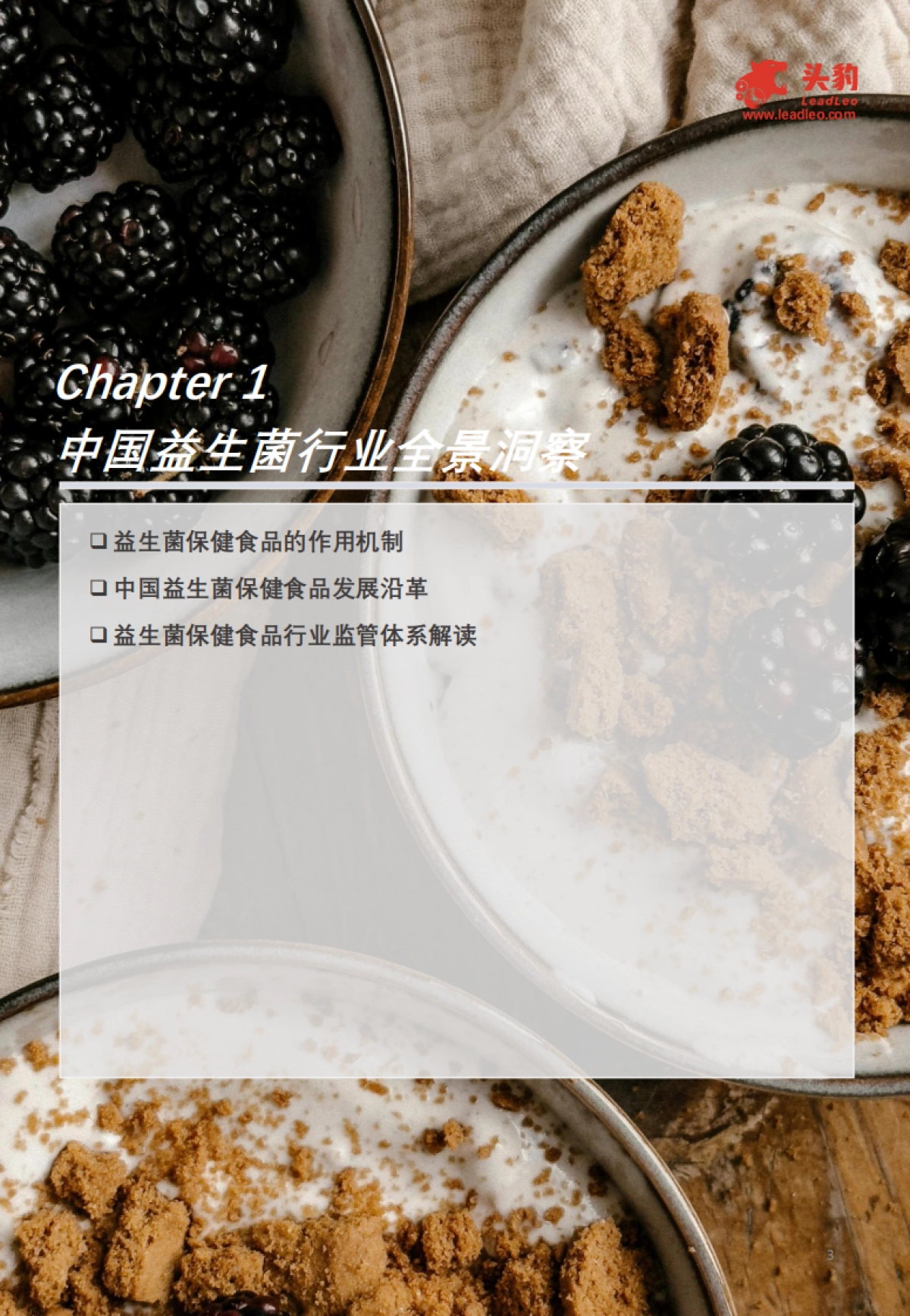 一文读懂肠道微生态——中国益生菌保健食品市场格局与消费行为洞察_第3页