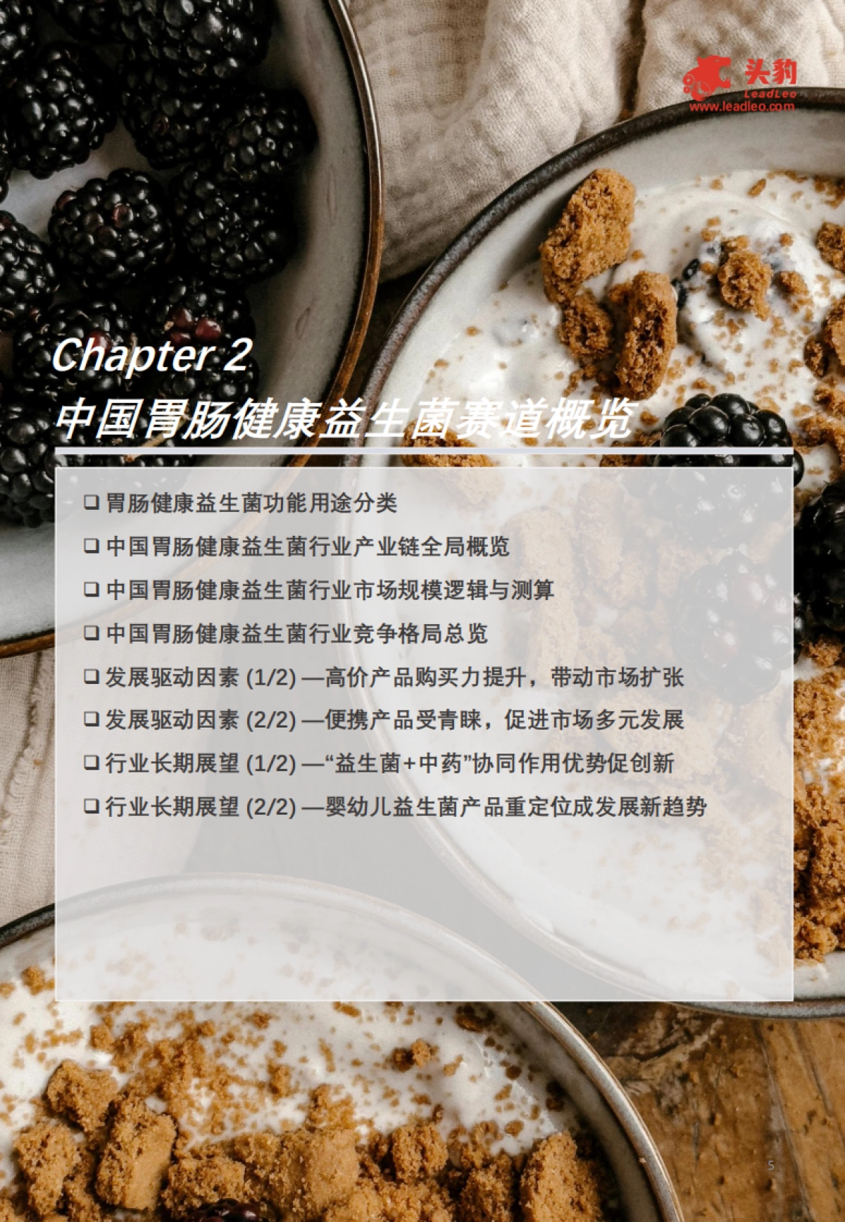 一文读懂肠道微生态——中国益生菌保健食品市场格局与消费行为洞察_第5页