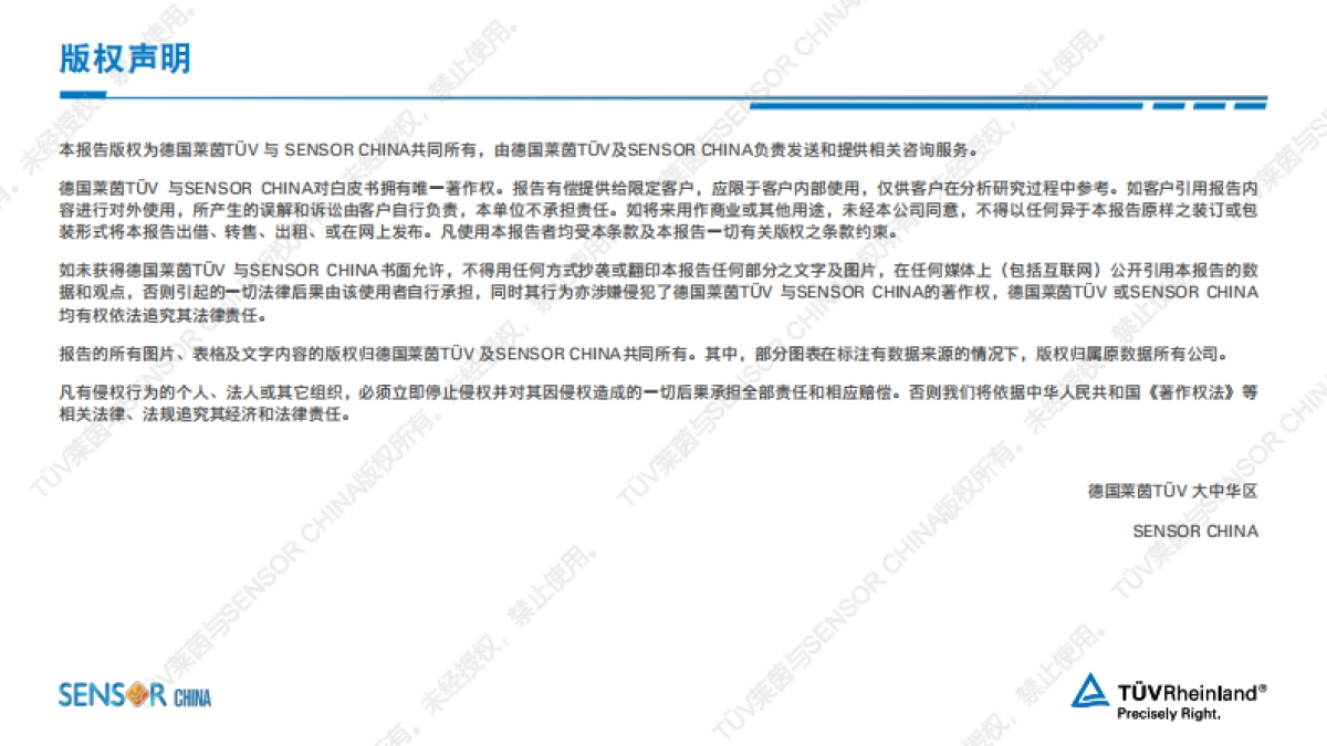 2025车用传感器白皮书_第2页