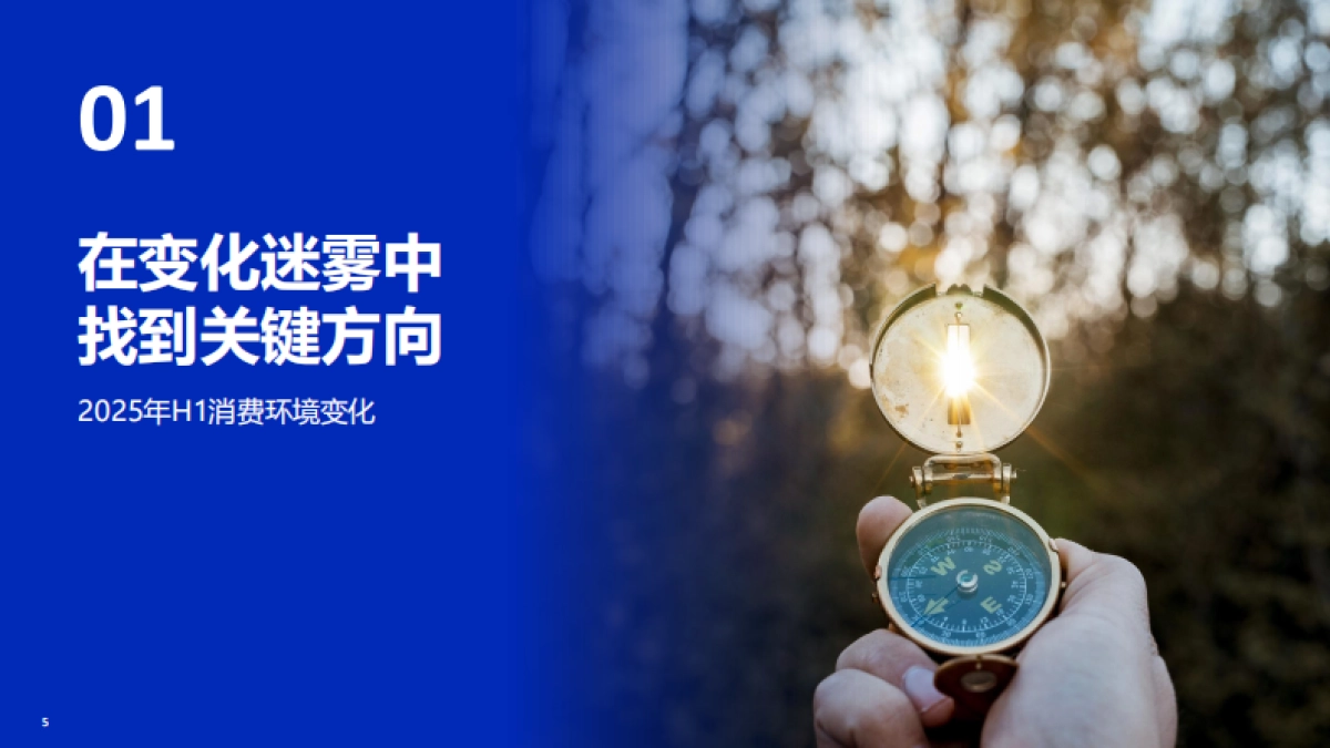 2025H1&618精简主义消费新趋势_第5页