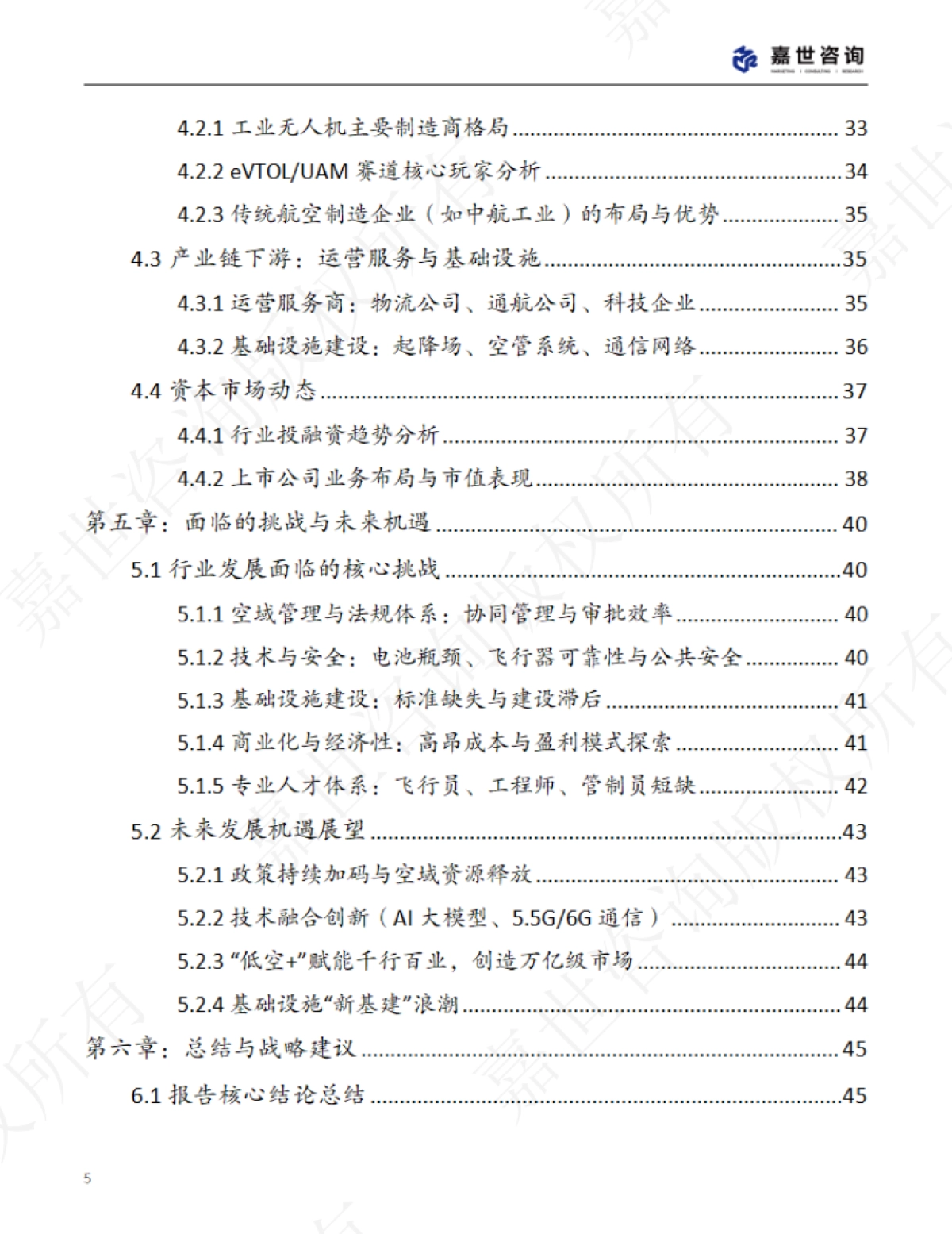2025年中国低空经济市场现状报告_第5页