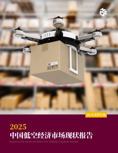 2025年中国低空经济市场现状报告
