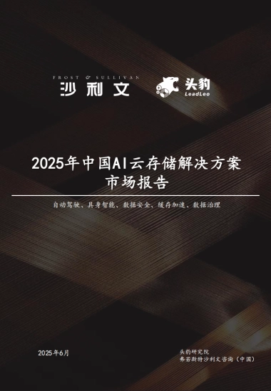 2025年中国AI云存储解决方案市场报告