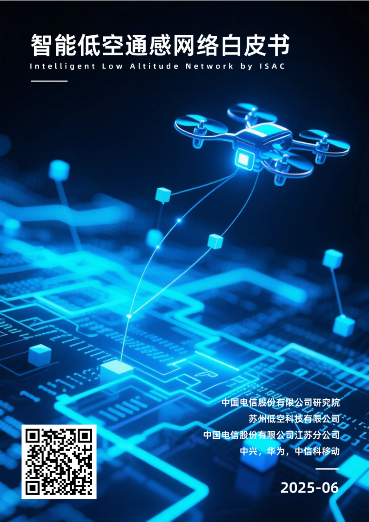 2025年智能低空通感网络白皮书_第1页